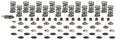 GEN V LT4 Platinum Dual Spring Kit .660in Lift