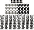 Platinum Dual Spring LS Kit Titanium Retainer