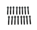 Rocker Arm Trunnion 12-Point Bolt Kit