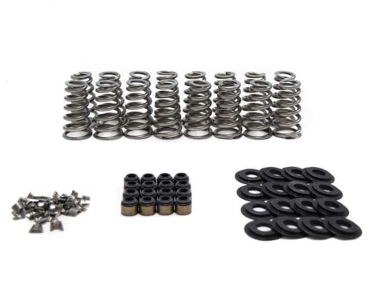 LT1/L86 Conical Spring Kit .650in Lift