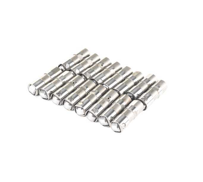 Gen V Delphi Lifters - (16)