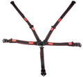 Harness 5pt L&L P/U 2in Black