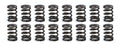 Valve Spring Set