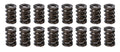 Dual Valve Springs With Damper- 1.519 Dia.