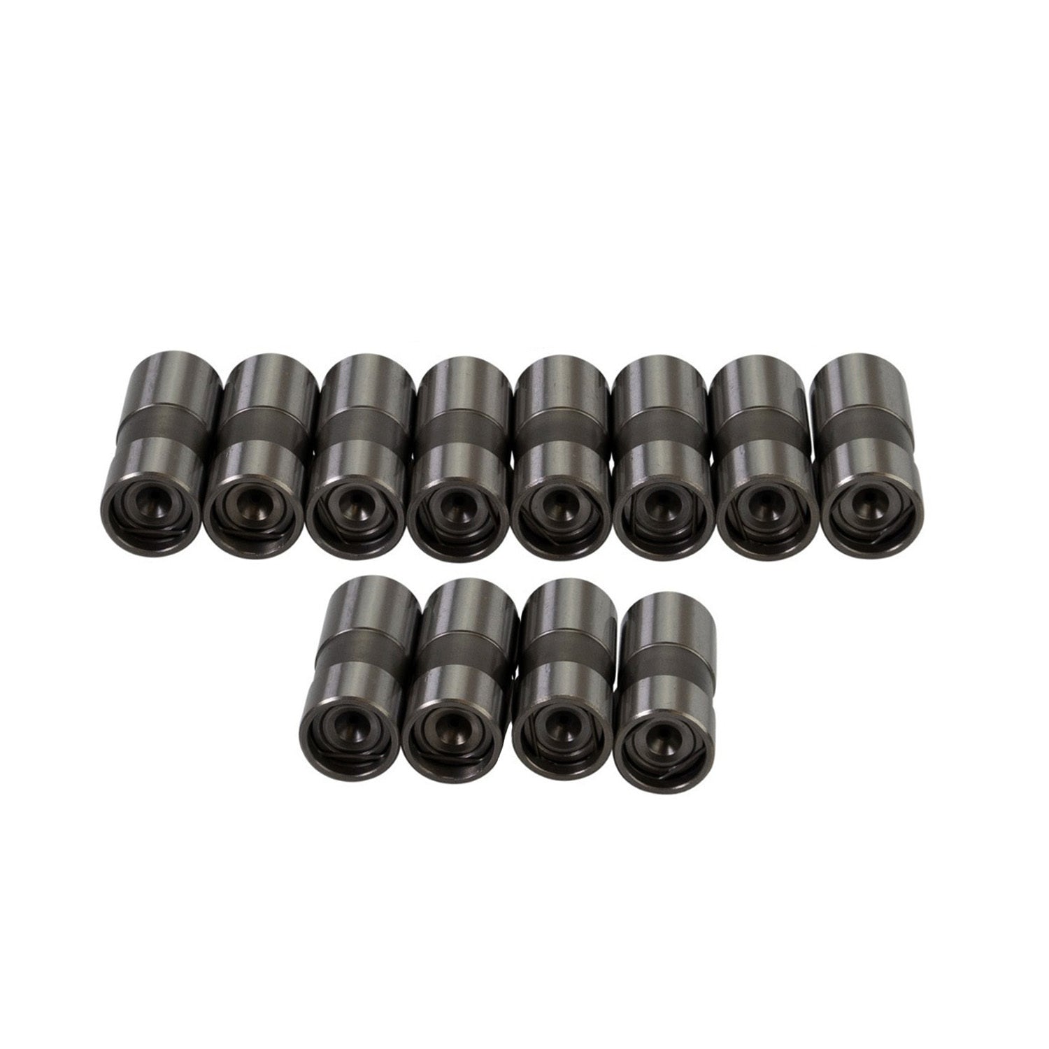 Chevy 6-Cyl DLC Hyd Lifter Set  .842 Dia.