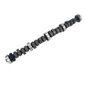 BBF FE Extreme Energy Hyd Roller Cam