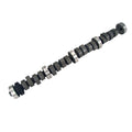 BBF FE Thumpr Cam 226/241