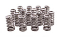 Conical Valve Springs 1.060/1.332