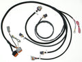 SmartSpark LS2/LS7 Remote Mnt Wire Harness