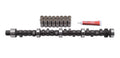 Pontiac Cam & Lifter Kit