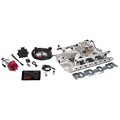 Pro-Flo 4 EFI Kit BBF FE 390-428 625 HP