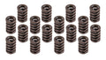 1.460 Valve Spring Set 16