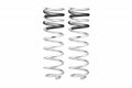 Pro-Lift-Kit Springs Rear Springs Only