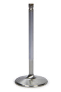BBC C/P 2.350 Intake Valve