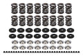 Endurance Dual Spring Kit Honda/Acura1.6/1.8