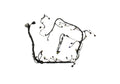 5.0L Coyote Auto Trans Engine Harness