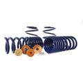 Track Lowering Spring Kit 15-23 Mustang