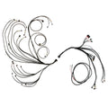 PRO600 Ford V8 Complete Harness