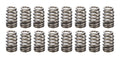 604 Beehive Valve Springs 16