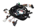 Main Harness 99-04 Ford Modular Engine