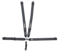 5-PT Harness System Camlock Ind Type Pull Up