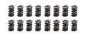 1.600 Triple Valve Spring Set (16)