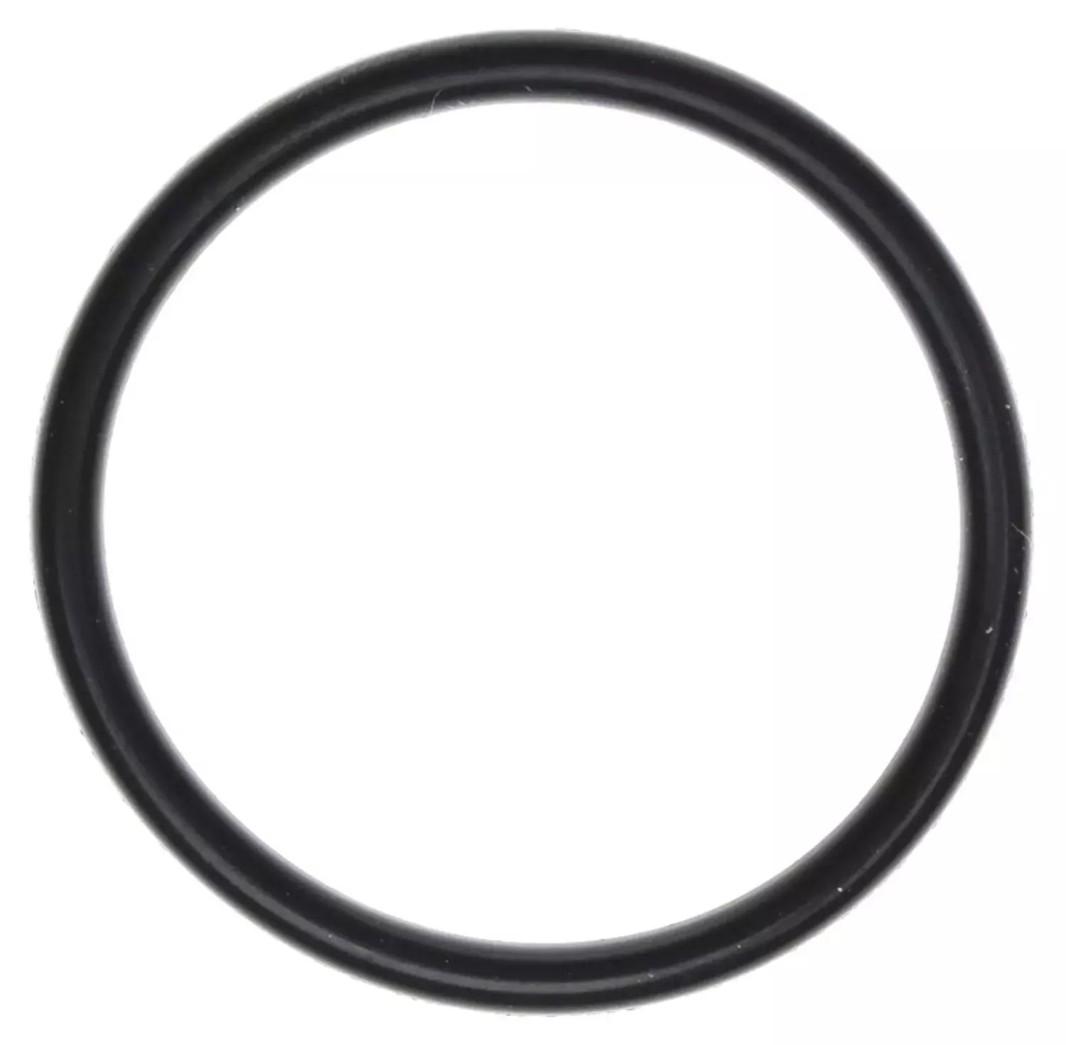 EFI Throttle Body O-Ring 05-10 Hemi 6.1L