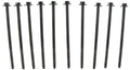 Head Bolt Set - 2pcs. 18-24 Ford 5.0L