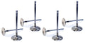2.080 RF Intake Valves 6.1L Gen-III Hemi