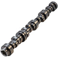 GM LT Hyd Roller Cam .650/.650 216/228 @ .050