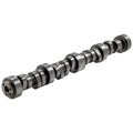 GM LS Hyd Roller Cam .585/.585