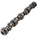 GM LT Hyd Roller Cam .650/.650 220/232 @ .050