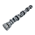 GM LS Hyd Roller Cam .553/.553 224/230 @ .050