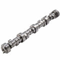 GM LS Hyd Roller Cam .604/.604 224/230 @.050
