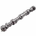 GM LS Hyd Roller Cam .625/.625 224/230 @.050