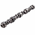 GM LT Hyd Roller Cam .639/.639 224/238 @.050