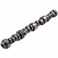 GM LT Hyd Roller Cam .639/.639 230/244 @.050