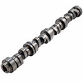 GM LT Hyd Roller Cam .639/.639 218/230 @.050