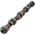 GM LT Hyd Roller Cam .650/.650 224/236 @.050