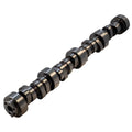 GM LS Hyd Roller Cam .625/.610 231/233
