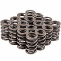 Valve Spring Set 1.364 Dia. Dual Spring