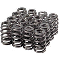 Valve Spring Set 1.307 Dia. Dual Spring
