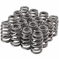 Valve Spring Set Beehive 1.023/1.250