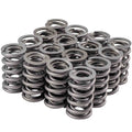 Valve Spring Set GM LS 1.304 Dual