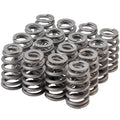 Valve Spring Set GM LS 1.307/1.072 Beehive