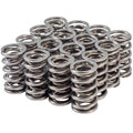 1.305 Valve Spring Set Dual  LS .660 Lift
