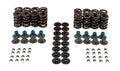 Valve Spring Kit GM LS