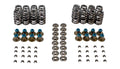 Valve Spring Kit GM LS w/Ti Retainers