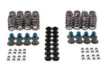 Valve Spring Kit GM LS