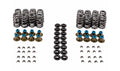 Valve Spring Kit GM LS